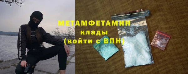 ГАЛЛЮЦИНОГЕННЫЕ ГРИБЫ Вяземский