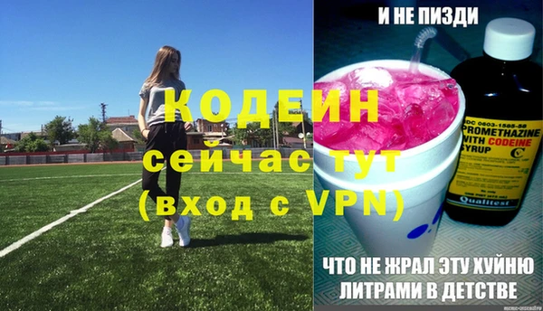 ГАЛЛЮЦИНОГЕННЫЕ ГРИБЫ Вяземский