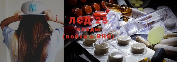 ГАЛЛЮЦИНОГЕННЫЕ ГРИБЫ Вяземский