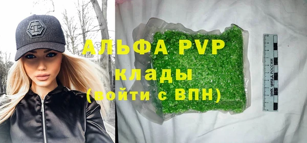 ГАЛЛЮЦИНОГЕННЫЕ ГРИБЫ Вяземский