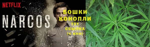 ГАЛЛЮЦИНОГЕННЫЕ ГРИБЫ Вяземский