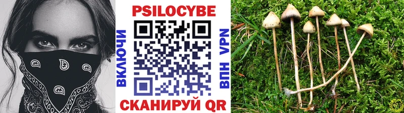Псилоцибиновые грибы ЛСД  Калининград 